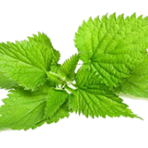 Mevsiminde Yeşillikler